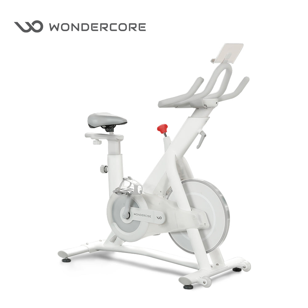 Wondercise Bike